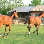 Couette-café Ca' Cinel 4*