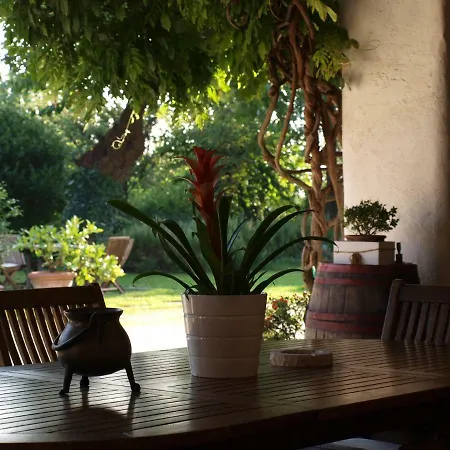 Ca' Cinel Bed and Breakfast