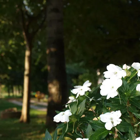 住宿加早餐酒店 Ca' Cinel